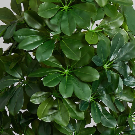 3ft. Umbrella Tree in White Vase
